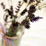La Pigna Hotel 3*